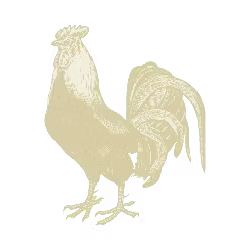 Roost Chicken Salad & Deli brand logo