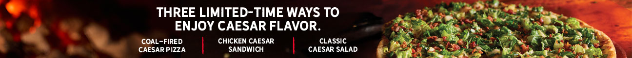 Promotional Banner